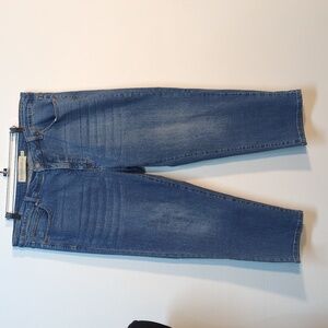Soft Surroundings Jeans High Rise Stretch, Size 18W